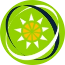 دولار شرق الكاريبي